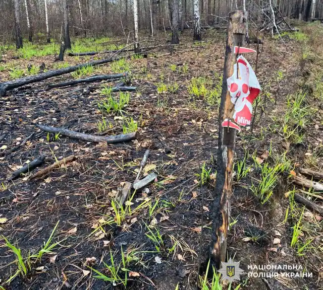 На Житомирщині два авто підірвалися на мінах: п’ятеро загиблих, троє травмованих