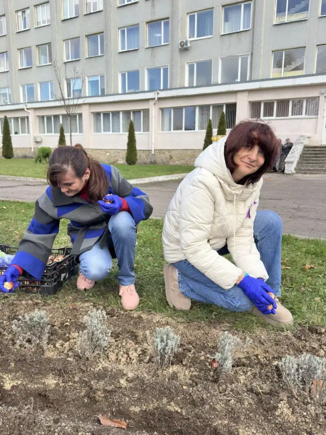 У Луцьку висадили тисячу тюльпанів на підтримку передчасно народжених дітей