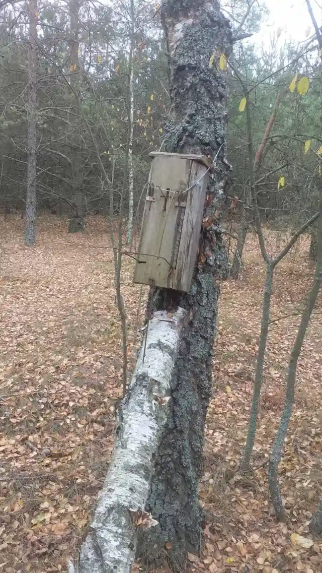 На Волині виявили браконьєрські пастки в Національному природному парку