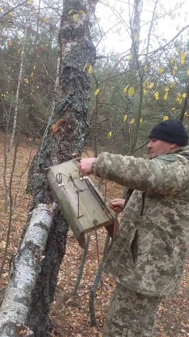 На Волині виявили браконьєрські пастки в Національному природному парку