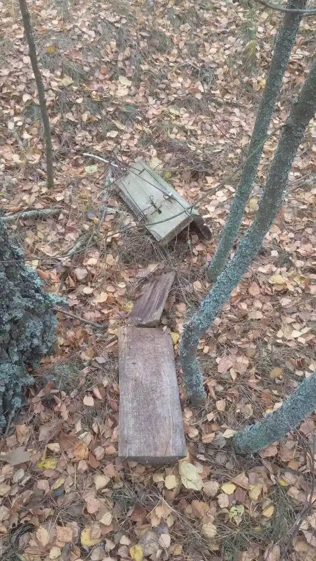 На Волині виявили браконьєрські пастки в Національному природному парку