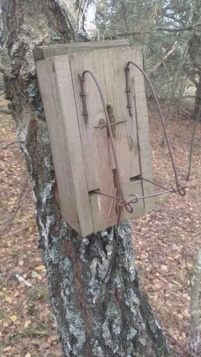 На Волині виявили браконьєрські пастки в Національному природному парку