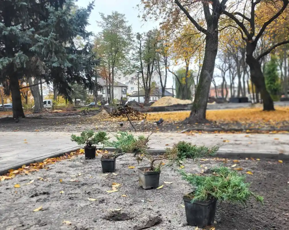 Реконструкція парку імені Лесі Українки: старт озеленення