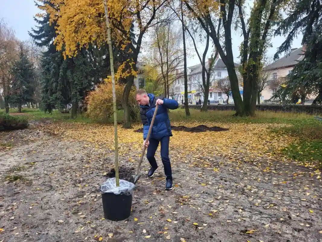 Реконструкція парку імені Лесі Українки: старт озеленення