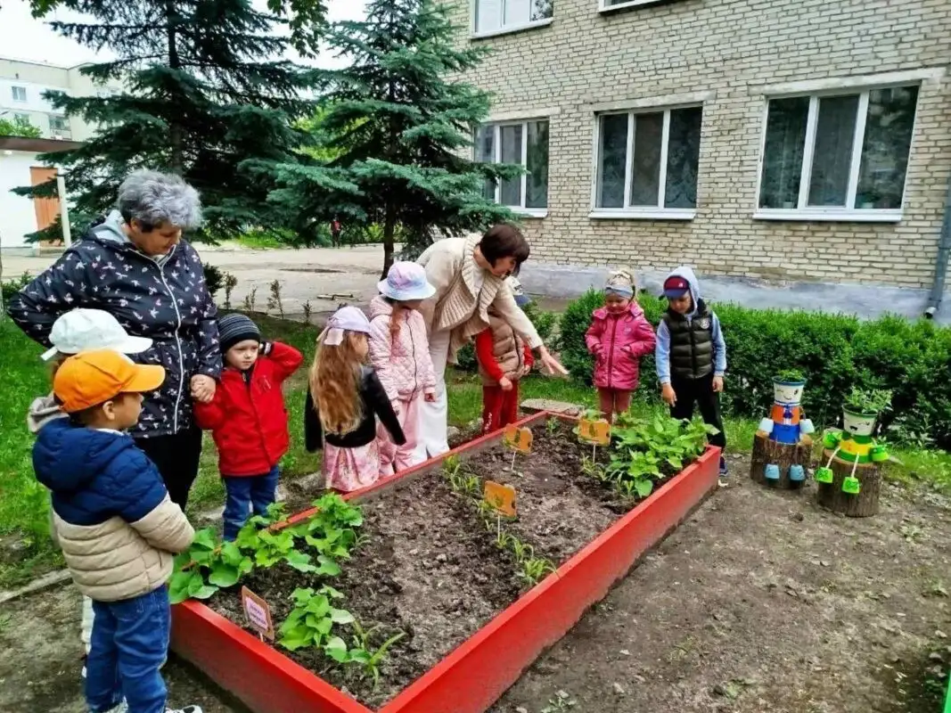 Перемога ковельських садочків у конкурсі “Дитячий міні-город”
