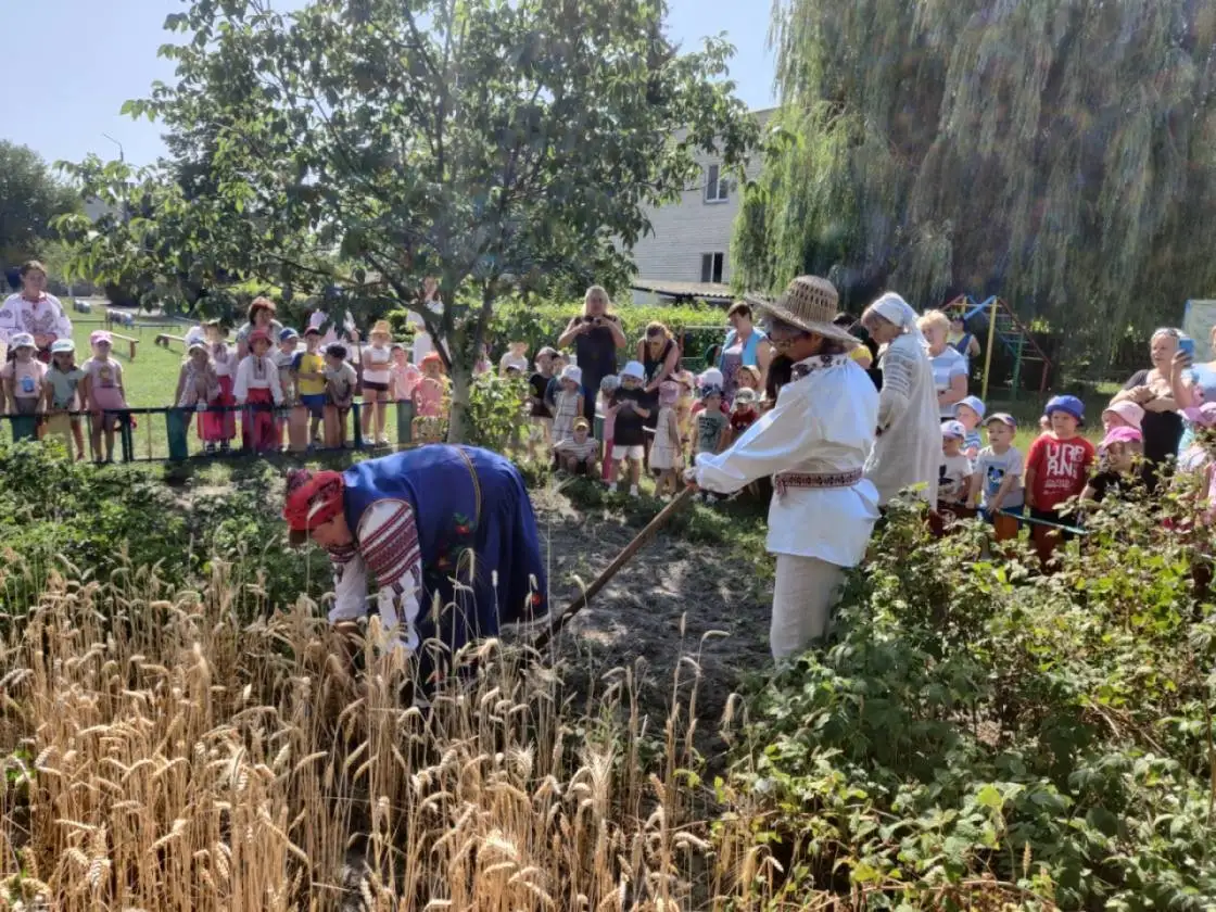 Перемога ковельських садочків у конкурсі “Дитячий міні-город”