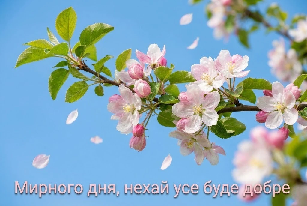 Доброго ранку та мирного дня: найкращі картинки та душевні побажання