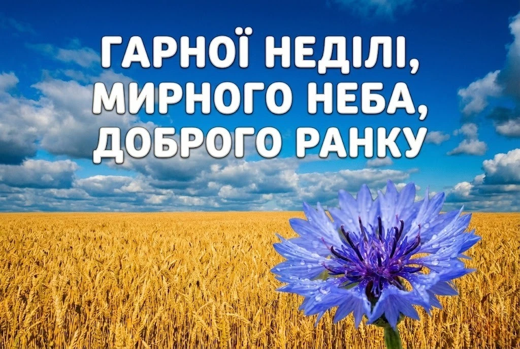 Доброго недільного ранку, мирного неба: надихаючі картинки та найтепліші листівки для близьких