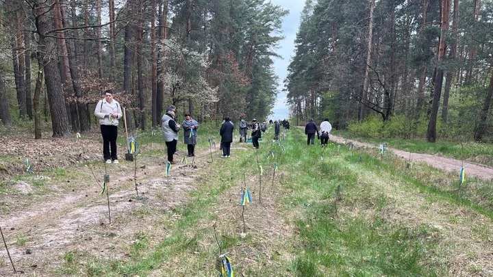 Пам’ять, що вкорінюється: у «Цуманській пущі» розширили «Ліс героїв»