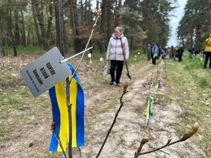 Пам’ять, що вкорінюється: у «Цуманській пущі» розширили «Ліс героїв»